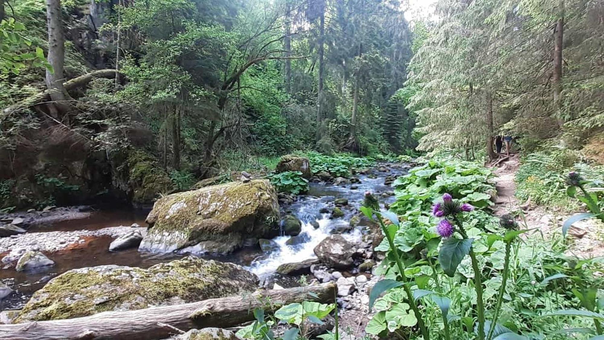 Landhaus Alpenpanorama Löffingen Zewnętrze zdjęcie